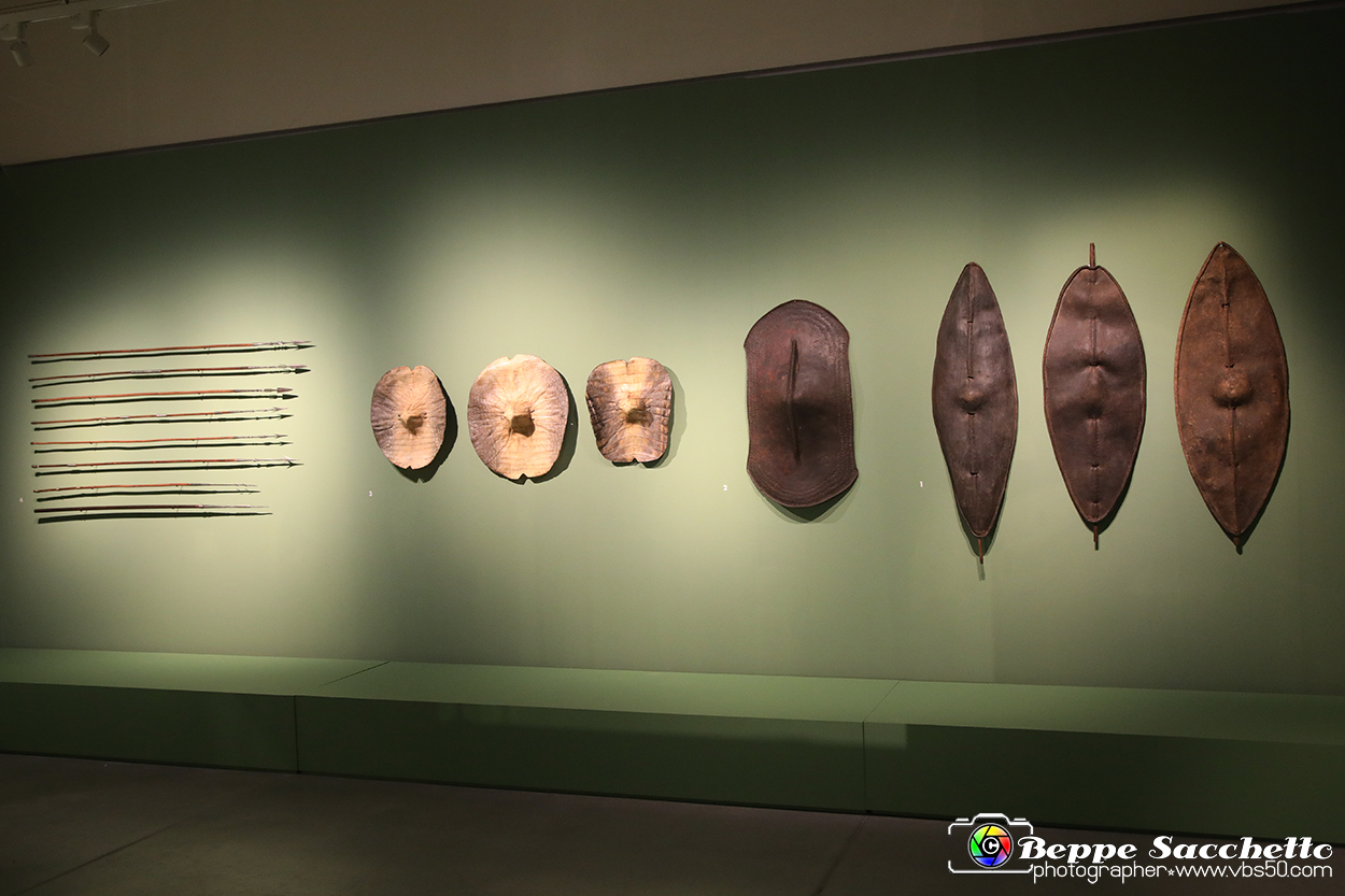 VBS_5331 - Africa - Le collezioni dimenticate.jpg